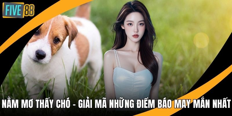 Nằm mơ thấy chó