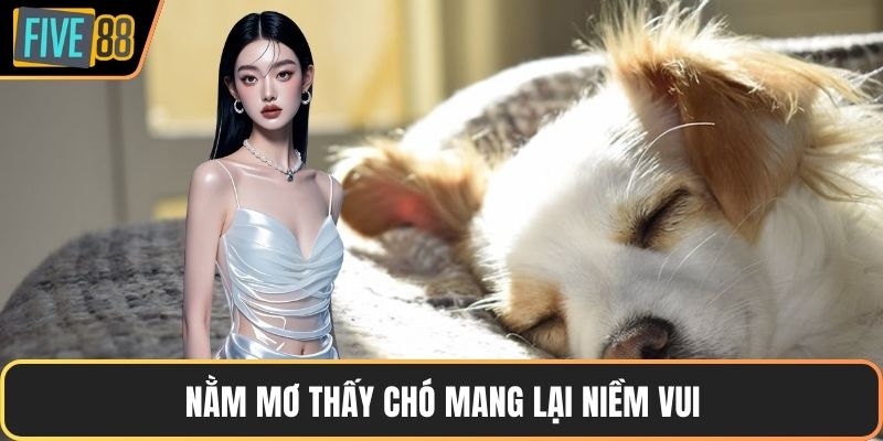 Nằm mơ thấy chó mang lại niềm vui