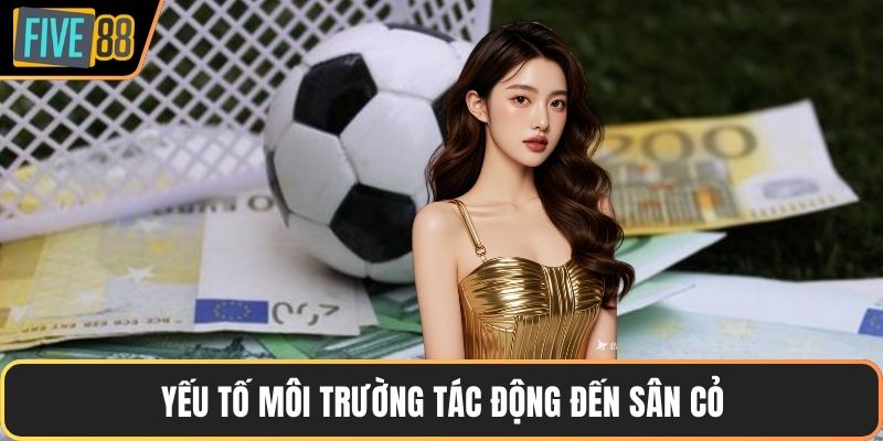 Yếu tố môi trường tác động đến sân cỏ
